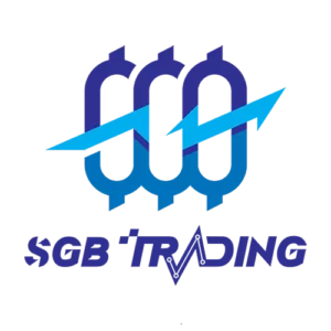 سرمایه گذار برتر