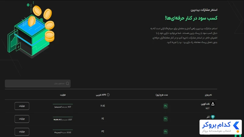 استخر مشارکت بیت پین