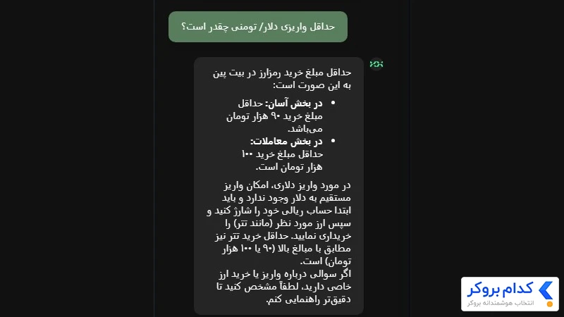 حداقل واریز دلار و تومان در بیت پین