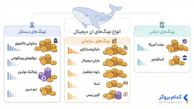انواع نهنگهای ارز دیجیتال