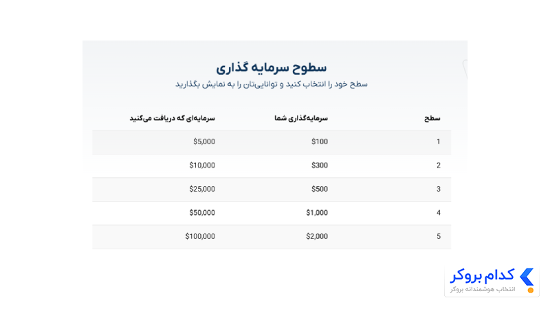 چالش طلا پراپ فرم ویتاورس