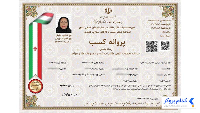 پروانه کسب پلتفرم تکنوگلد