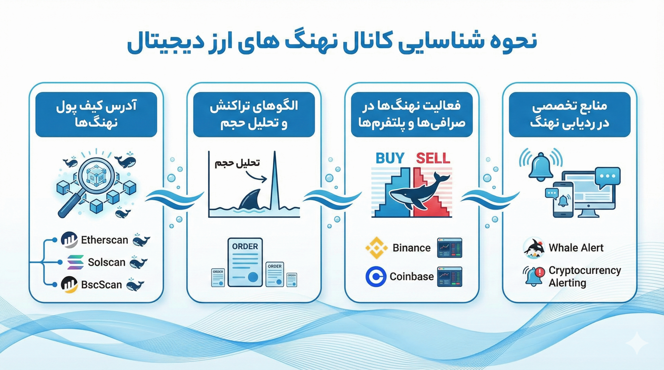 نحوه ی شناسایی نهنگ های ارز های دیجیتال