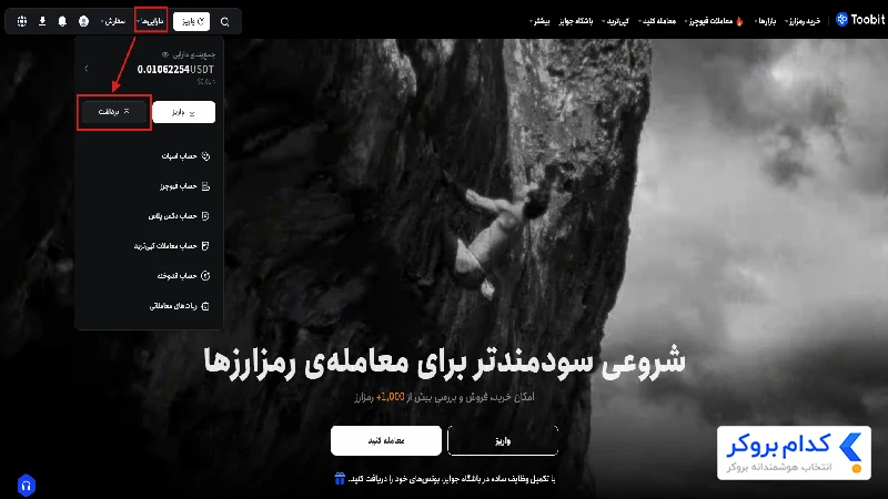 برداشت از توبیت