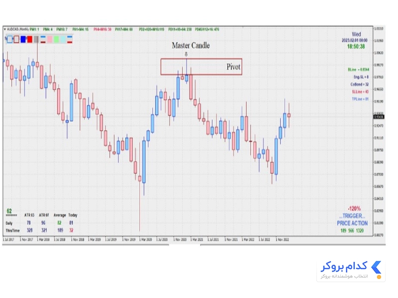 مستر کندل در تیرکس