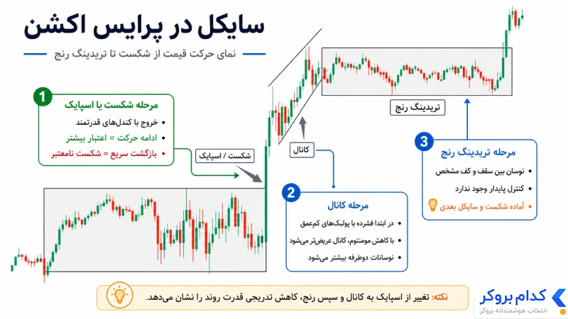 سایکل در پرایس اکشن