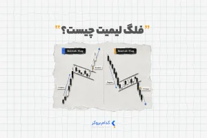 فلگ لیمیت چیست