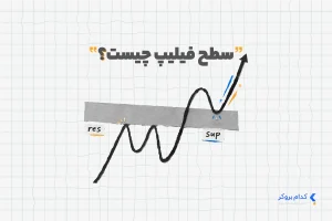 سطح فیلیپ چیست