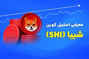 استیبل کوین شیبا