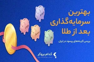 بهترین سرمایه گذاری بعد از طلا