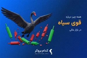 نظریه قوی سیاه در بازار مالی