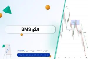 الگو BMS