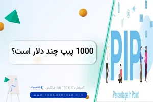 هزار پیپ چند دلار است