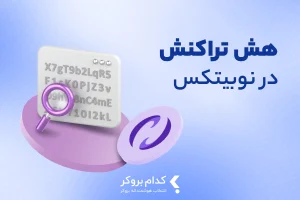 هش تراکنش در نوبیتکس