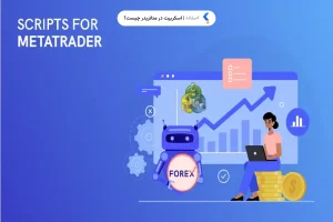 اسکریپت در متاتریدر چیست؟