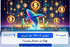 نهنگ ارز دیجیتال چیست؟