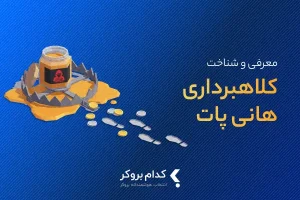 معرفی و شناخت کلاهبرداری هانی پات در ارز دیجیتال