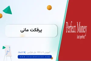 پرفکت مانی چیست؟