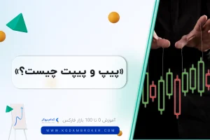 پیپ و پیپت چیست؟