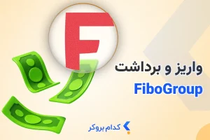 برداشت از فیبو گروپ